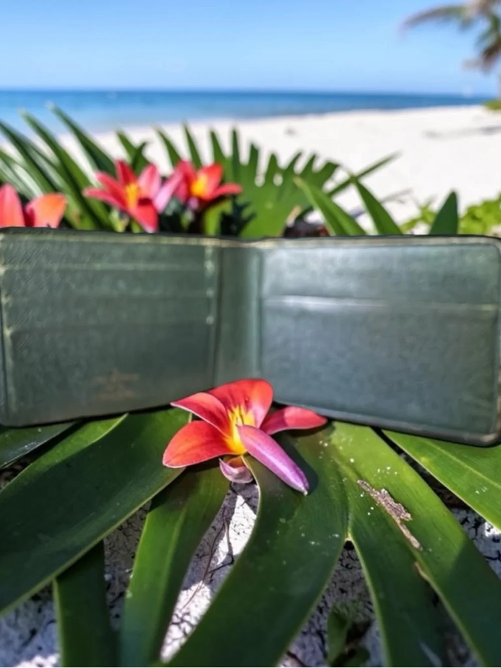 Louis Vuitton Dark Green vintage Taiga Leather  Wallet - Men - Picture 3 of 7